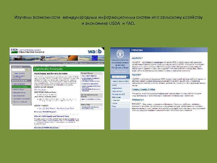 Изучены возможности международных информационных систем ипо сельскому хозяйству и экономике USDA и FAO. 