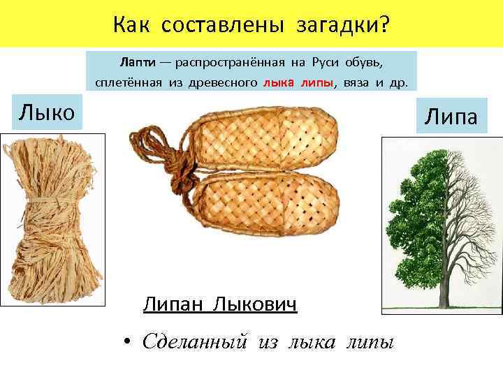 Как составлены загадки? Лапти — распространённая на Руси обувь, сплетённая из древесного лыка липы,