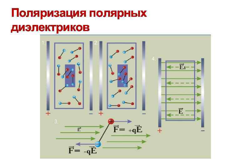Поляризация диэлектриков рисунок