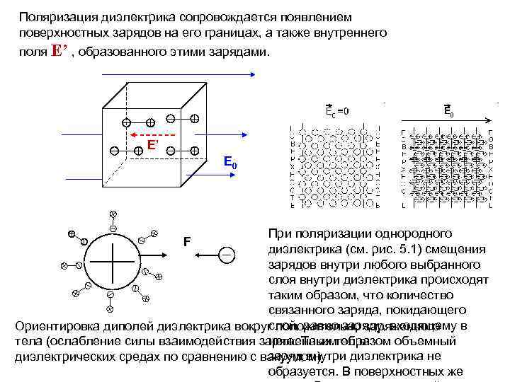 Поляризация диэлектрика сопровождается появлением поверхностных зарядов на его границах, а также внутреннего поля Е’