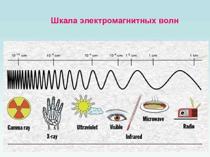 Шкала электромагнитных волн 