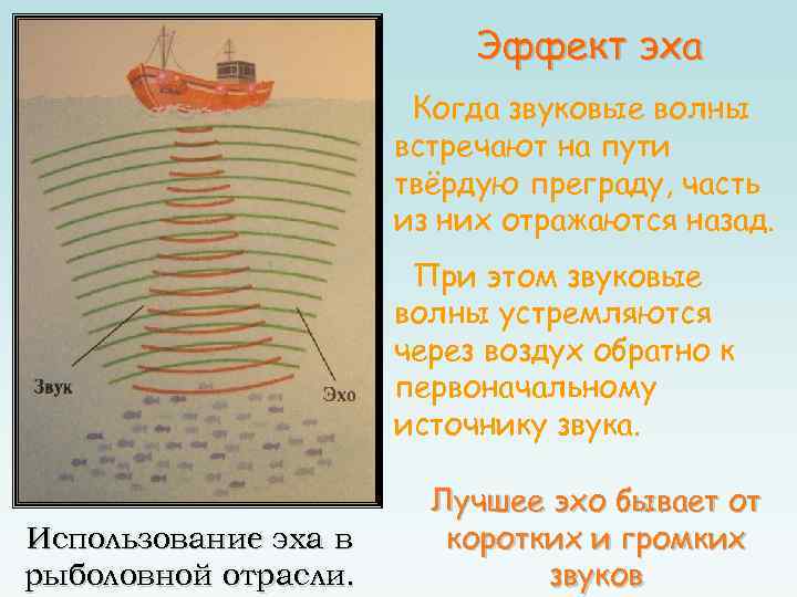 Эффект эха Когда звуковые волны встречают на пути твёрдую преграду, часть из них отражаются
