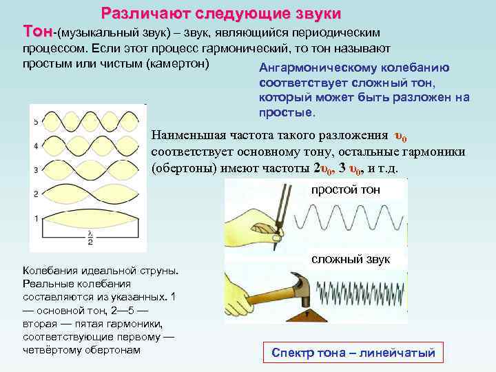 Различают следующие звуки Тон-(музыкальный звук) – звук, являющийся периодическим процессом. Если этот процесс гармонический,