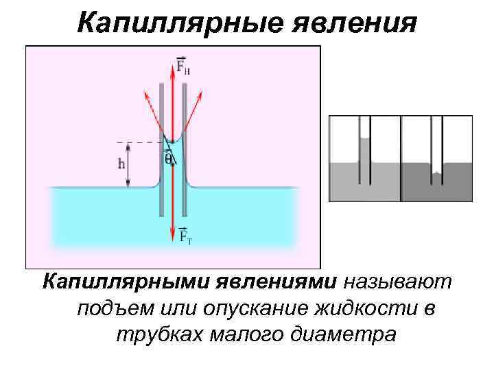 Капиллярные явления Капиллярными явлениями называют подъем или опускание жидкости в трубках малого диаметра 