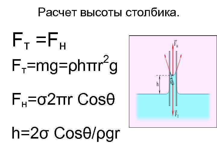 Расчет высоты столбика. Fт =Fн 2 Fт=mg=ρhπr g Fн=σ2πr Cosθ h=2σ Cosθ/ρgr 