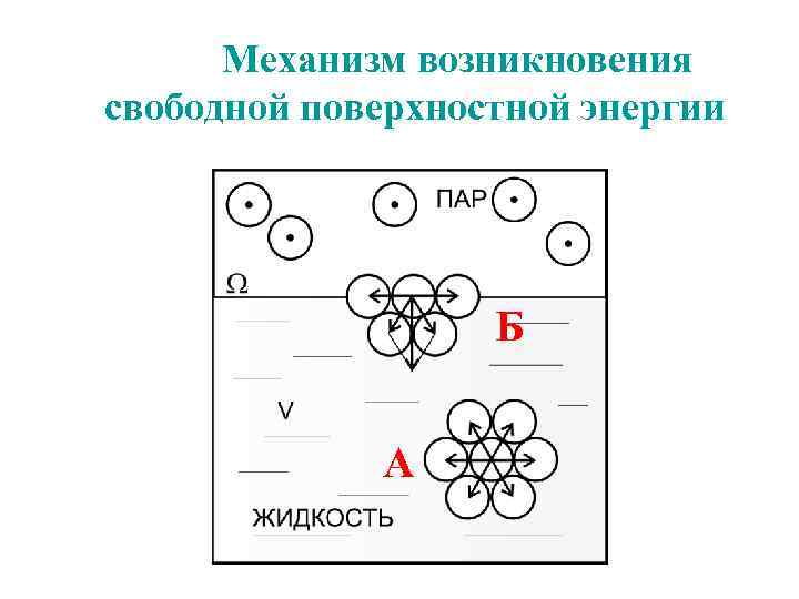 Механизм возникновения свободной поверхностной энергии Б А 