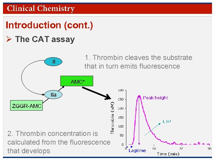 Introduction (cont. ) Ø The CAT assay II 1. Thrombin cleaves the substrate that