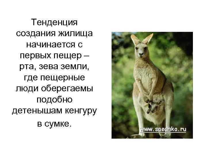 Тенденция создания жилища начинается с первых пещер – рта, зева земли, где пещерные люди