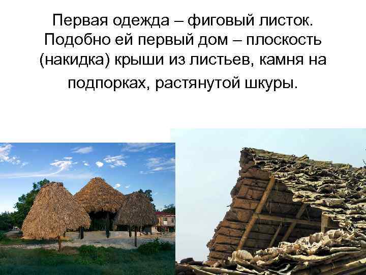 Первая одежда – фиговый листок. Подобно ей первый дом – плоскость (накидка) крыши из