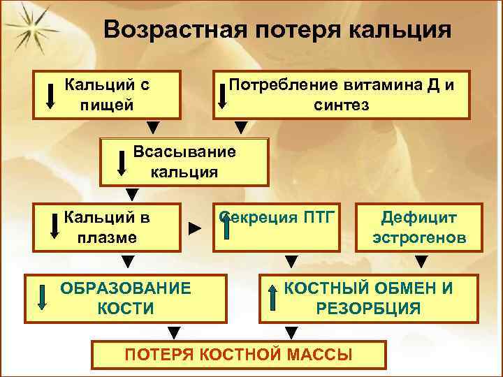 Возрастная потеря кальция Кальций с пищей Потребление витамина Д и синтез Всасывание кальция Кальций