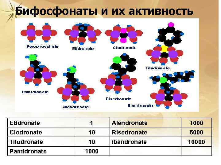 Бифосфонаты и их активность Etidronate 1 Alendronate 1000 Clodronate 10 Risedronate 5000 Tiludronate 10
