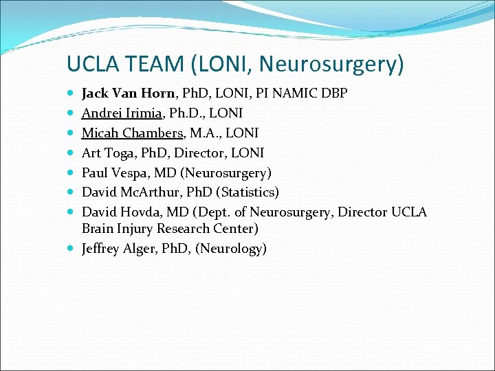 UCLA TEAM (LONI, Neurosurgery) Jack Van Horn, Ph. D, LONI, PI NAMIC DBP Andrei