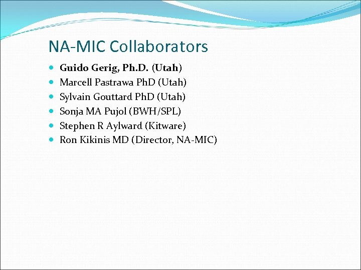NA-MIC Collaborators Guido Gerig, Ph. D. (Utah) Marcell Pastrawa Ph. D (Utah) Sylvain Gouttard