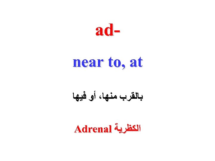  ad near to, at ﺑﺎﻟﻘﺮﺏ ﻣﻨﻬﺎ، ﺃﻮ ﻓﻴﻬﺎ ﺍﻟﻜﻈﺮﻳﺔ Adrenal 