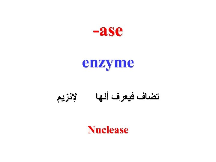  -ase enzyme ﺗﻀﺎﻑ ﻓﻴﻌﺮﻑ ﺃﻨﻬﺎ Nuclease ﻹﻧﺰﻳﻢ 