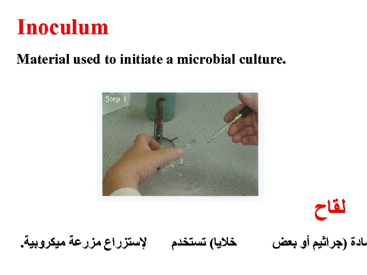  Inoculum . Material used to initiate a microbial culture ﻟﻘﺎﺡ ﻣﺎﺩﺓ )ﺟﺮﺍﺛﻴﻢ ﺃﻮ