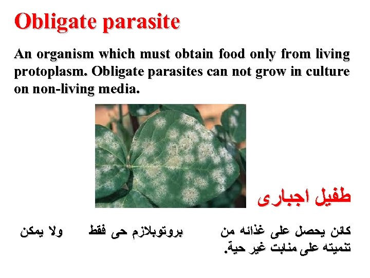 Obligate parasite An organism which must obtain food only from living protoplasm. Obligate parasites