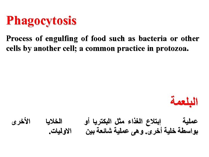 Phagocytosis Process of engulfing of food such as bacteria or other cells by another