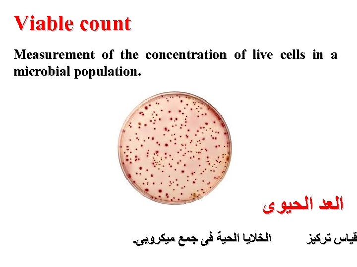 Viable count Measurement of the concentration of live cells in a microbial population. ﺍﻟﻌﺪ