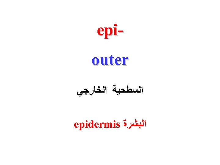  epi outer ﺍﻟﺴﻄﺤﻴﺔ ﺍﻟﺨﺎﺭﺟﻲ ﺍﻟﺒﺸﺮﺓ epidermis 