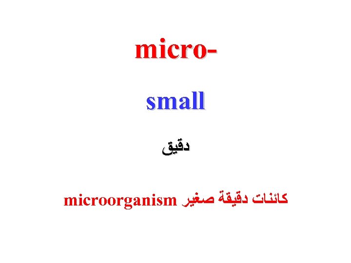 microsmall ﺩﻗﻴﻖ microorganism ﻛﺎﺋﻨﺎﺕ ﺩﻗﻴﻘﺔ ﺻﻐﻴﺮ 