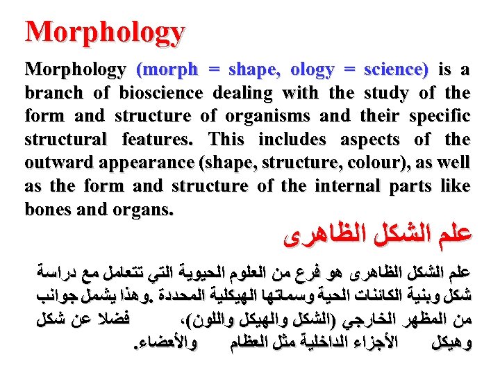 Morphology (morph = shape, ology = science) is a branch of bioscience dealing with
