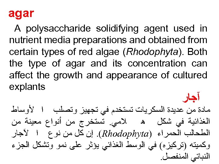 agar A polysaccharide solidifying agent used in nutrient media preparations and obtained from certain