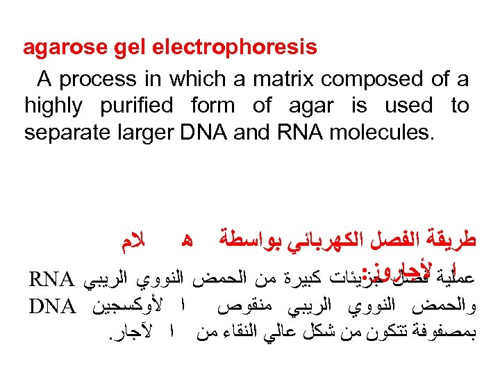  agarose gel electrophoresis A process in which a matrix composed of a highly