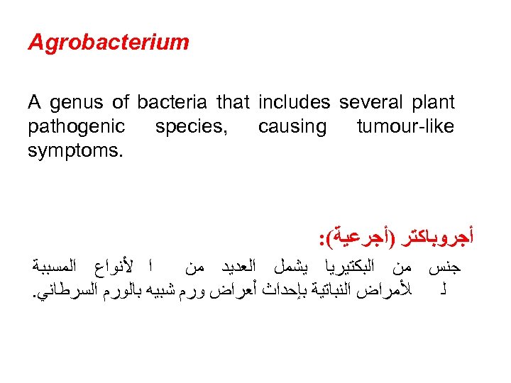  Agrobacterium A genus of bacteria that includes several plant pathogenic species, causing tumour-like