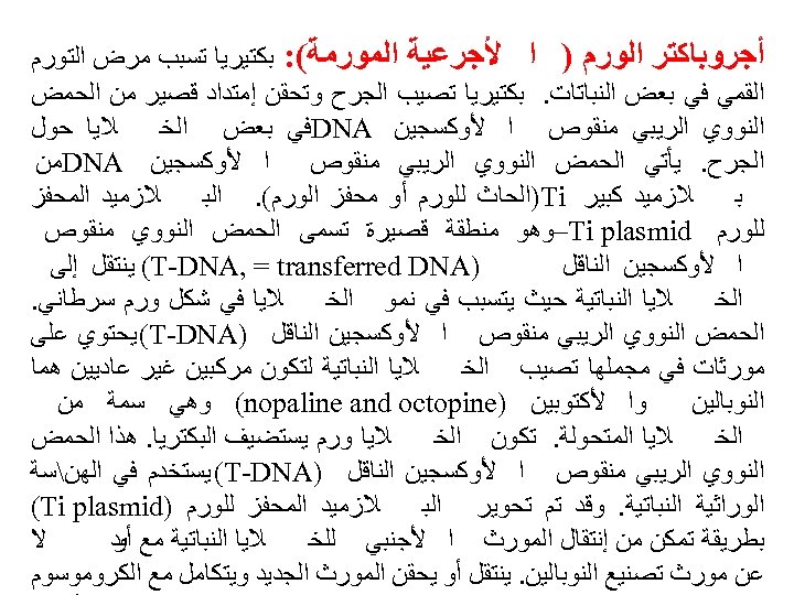  ﺃﺠﺮﻭﺑﺎﻛﺘﺮ ﺍﻟﻮﺭﻡ ) ﺍ ﻷﺠﺮﻋﻴﺔ ﺍﻟﻤﻮﺭﻣﺔ(: ﺑﻜﺘﻴﺮﻳﺎ ﺗﺴﺒﺐ ﻣﺮﺽ ﺍﻟﺘﻮﺭﻡ ﺍﻟﻘﻤﻲ ﻓﻲ ﺑﻌﺾ