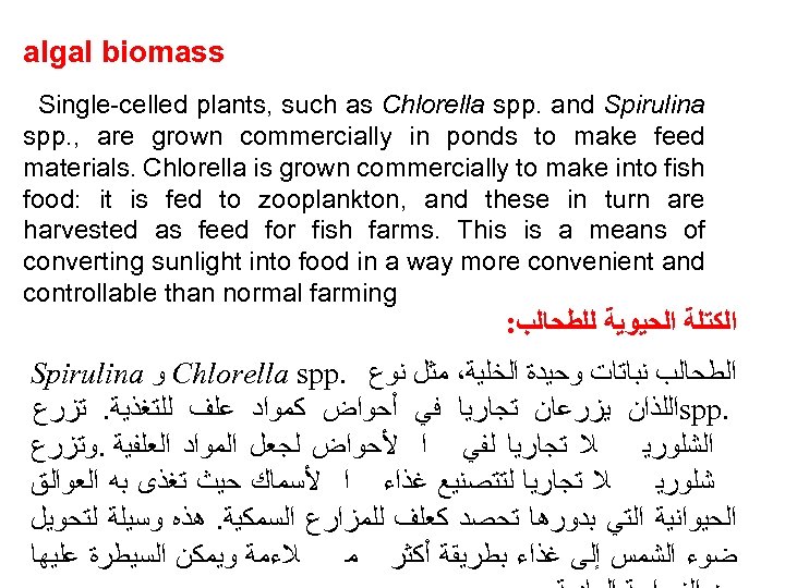 algal biomass Single-celled plants, such as Chlorella spp. and Spirulina spp. , are grown