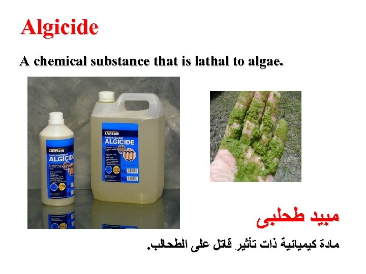 Algicide A chemical substance that is lathal to algae. ﻣﺒﻴﺪ ﻃﺤﻠﺒﻰ . ﻣﺎﺩﺓ ﻛﻴﻤﻴﺎﺋﻴﺔ
