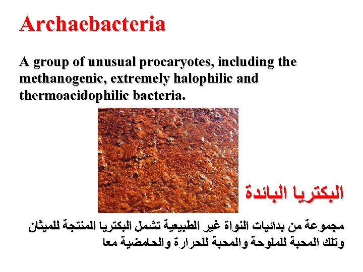  Archaebacteria A group of unusual procaryotes, including the methanogenic, extremely halophilic and .