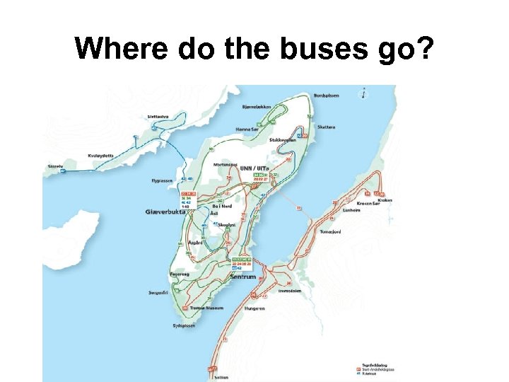 Where do the buses go? 