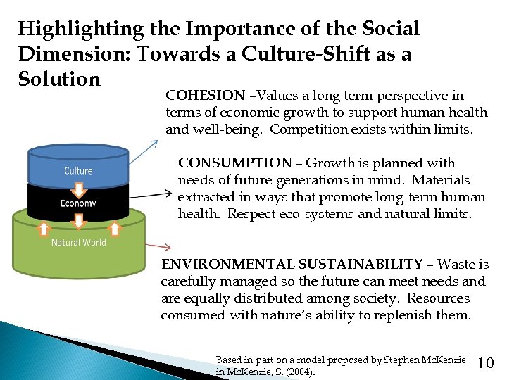Highlighting the Importance of the Social Dimension: Towards a Culture-Shift as a Solution COHESION