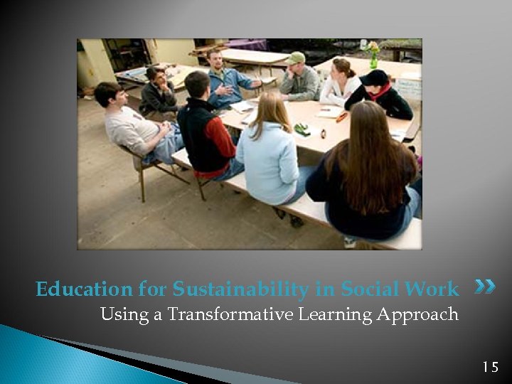 Education for Sustainability in Social Work Using a Transformative Learning Approach 15 