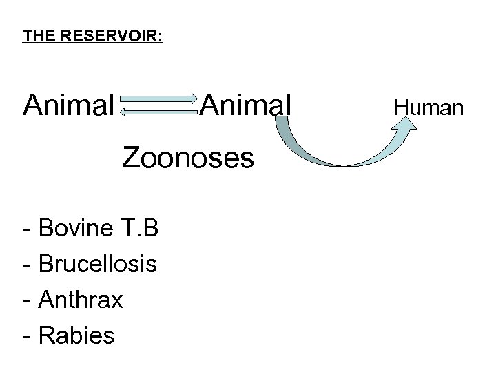 THE RESERVOIR: Animal Zoonoses - Bovine T. B - Brucellosis - Anthrax - Rabies