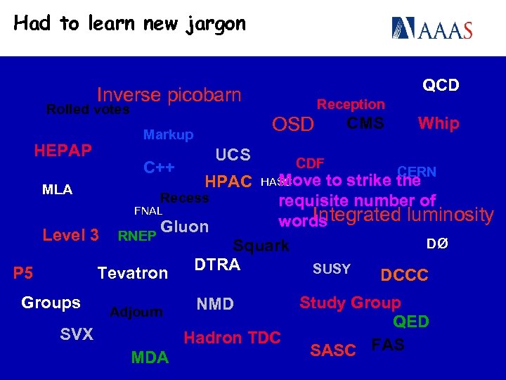 Had to learn new jargon QCD Inverse picobarn Rolled votes HEPAP OSD Markup C++