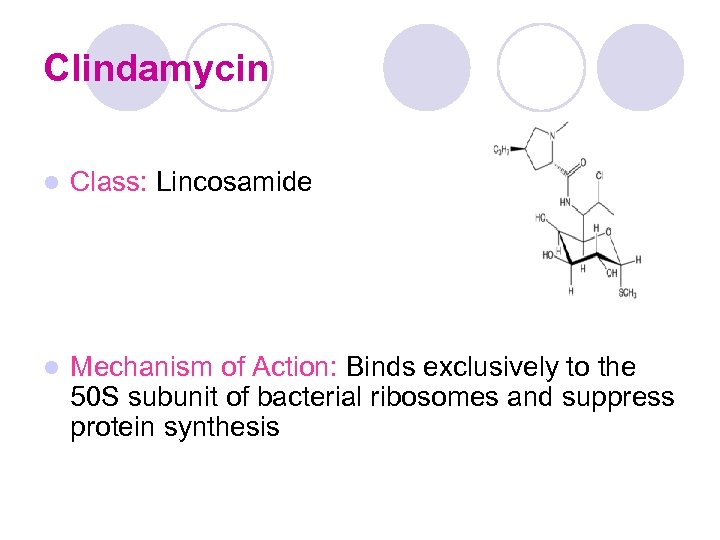 Clindamycin l Class: Lincosamide l Mechanism of Action: Binds exclusively to the 50 S