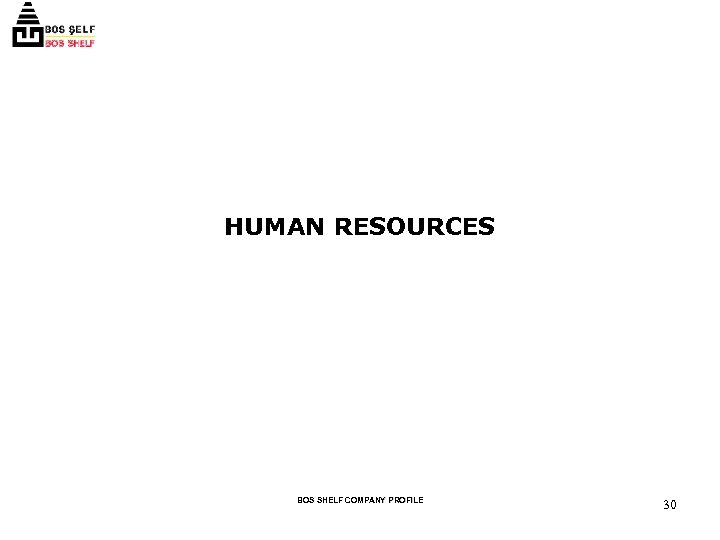 HUMAN RESOURCES BOS SHELF COMPANY PROFILE 30 