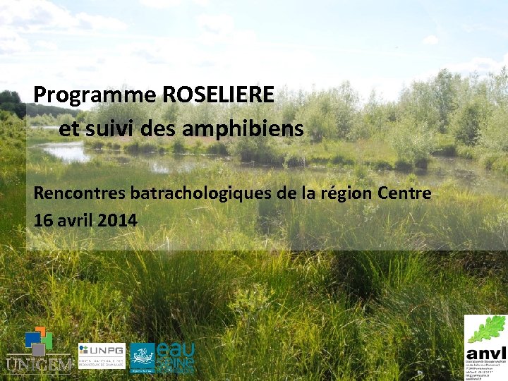 Programme ROSELIERE et suivi des amphibiens Rencontres batrachologiques de la région Centre 16 avril
