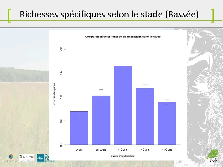 [ Richesses spécifiques selon le stade (Bassée) ] 