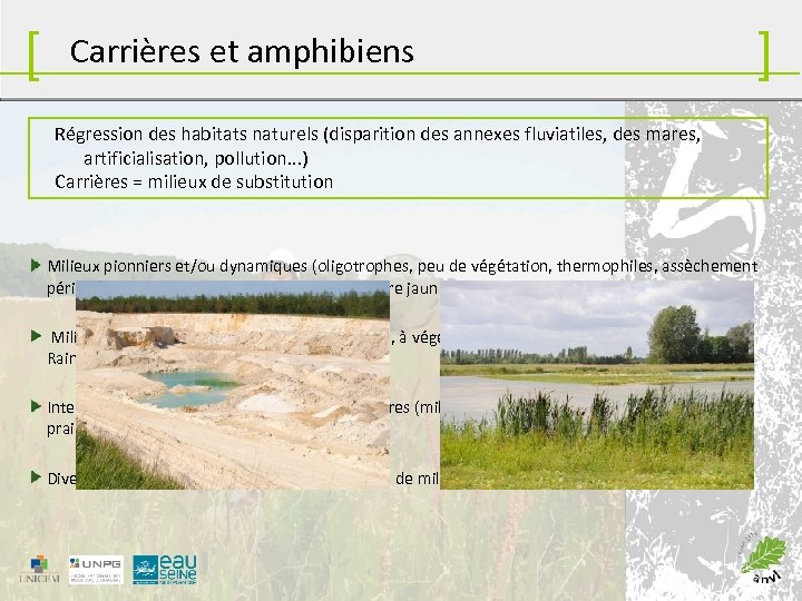 [ Carrières et amphibiens ] Régression des habitats naturels (disparition des annexes fluviatiles, des