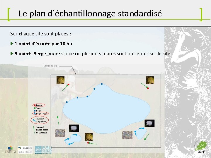 [ Le plan d'échantillonnage standardisé Sur chaque site sont placés : 1 point d'écoute