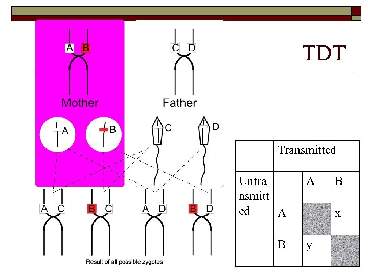 TDT Transmitted Untra nsmitt ed A A B y B x 