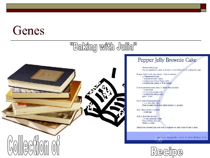 Genes 