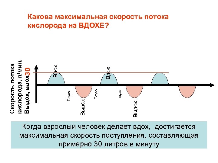 Выдох пауза Пауза Выдох Пауза Вдох Скорость потока кислорода, л/мин. Выдох, вдох30 Какова максимальная