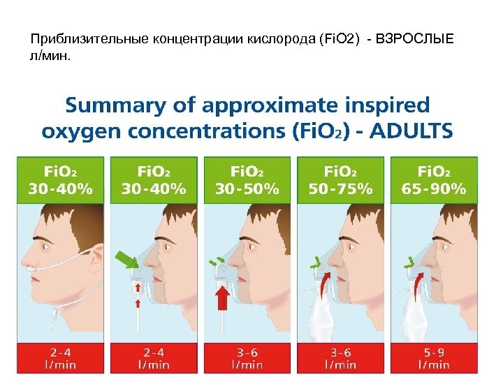 Приблизительные концентрации кислорода (Fi. O 2) - ВЗРОСЛЫЕ л/мин. 