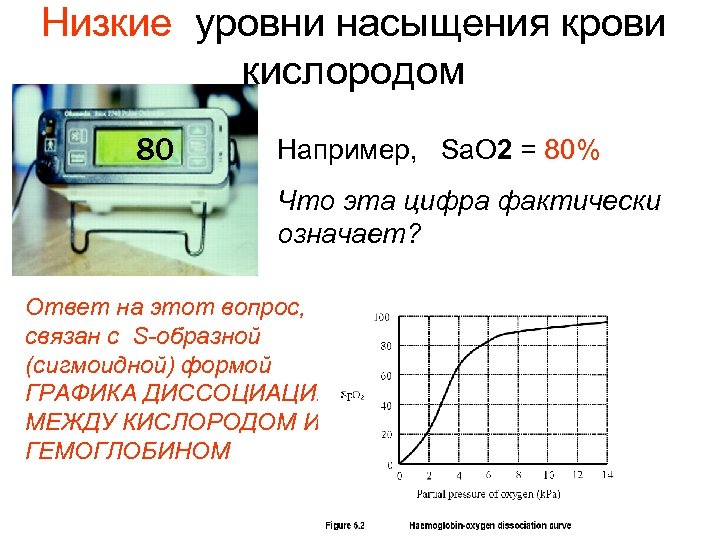 Низкие уровни насыщения крови кислородом 80 Например, Sa. O 2 = 80% Что эта