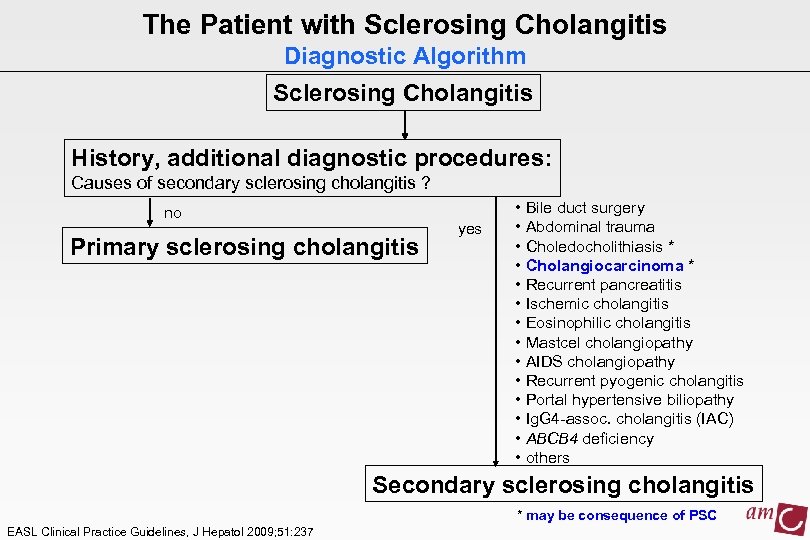 The Patient with Sclerosing Cholangitis Diagnostic Algorithm Sclerosing Cholangitis History, additional diagnostic procedures: Causes